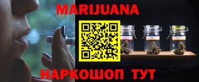 сатива Камышлов
