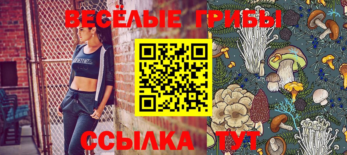 Псилоцибиновые грибы Magic Shrooms  Вход с VPN  Кыштым 
